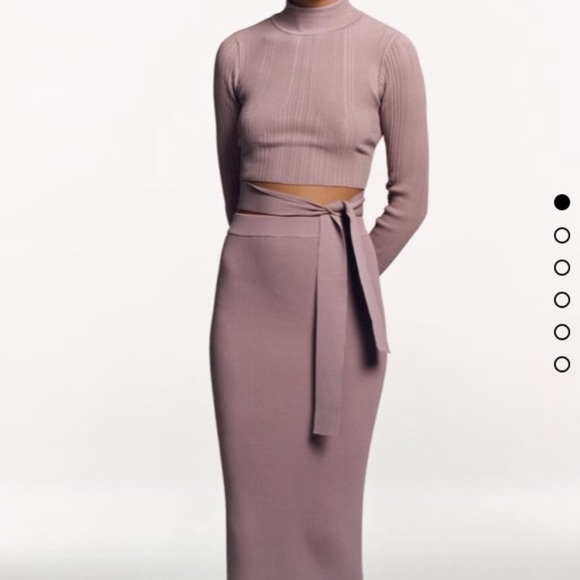 Zara Tops - ❗️1 DAY SALE❗️ NWOT Zara Open Back Tie Mock Neck Crop Top